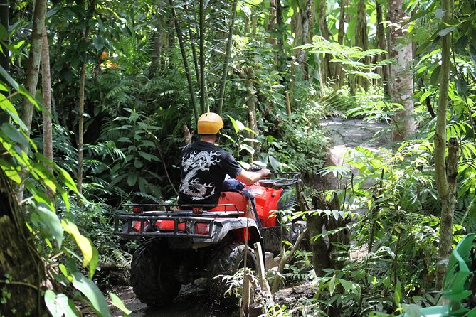 1.5 Hours Bali ATV Quad Tour - Solo or Tandem: Pick the Right Setup
