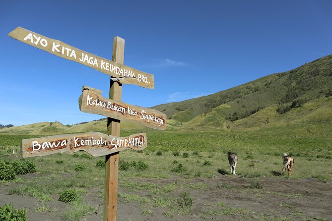 1 Day - Bromo Morning Tour start MALANG or SURABAYA // 7.30-16:00 - Reaching Penanjakan and Kingkong Hill