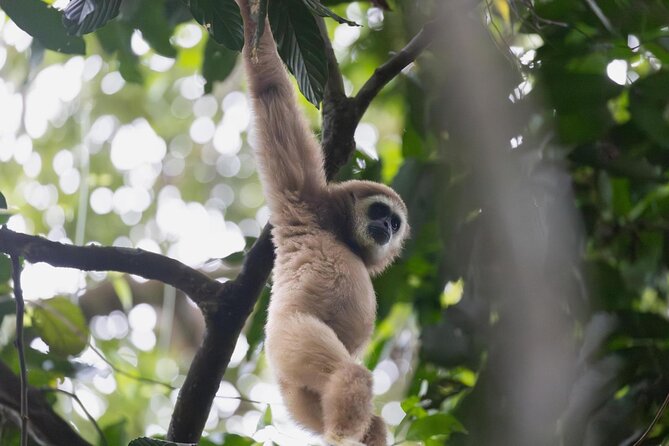 1 Day Ethical Jungle Trek in Bukit Lawang at Sumatra - The hard part is part of the deal