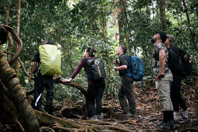 1 Day Ethical Jungle Trekking - Looking for orangutans, monkeys, and hornbills