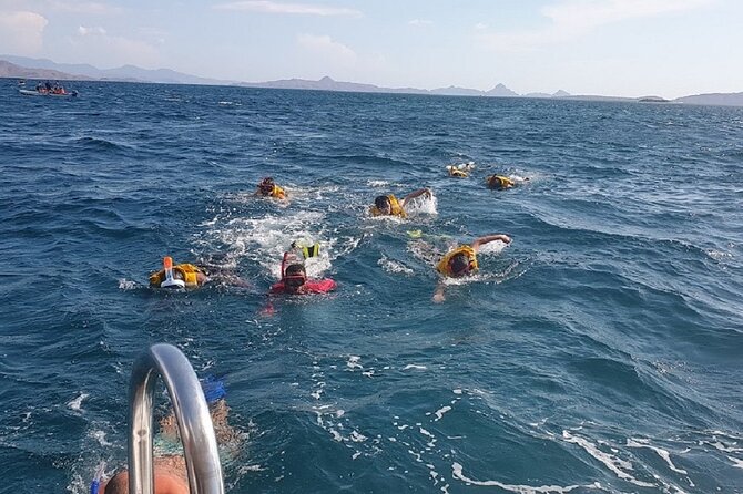 1- day Komodo Island Hopping Tour by Speed Boat departure From Labuan bajo - Manta Point and the day’s best chance for snorkeling