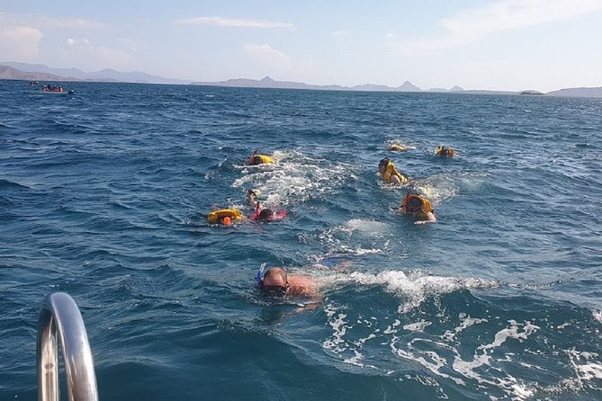 1- day Komodo Island Hopping Tour by Speed Boat departure From Labuan bajo - Komodo Island and the limits of a wild-animal promise
