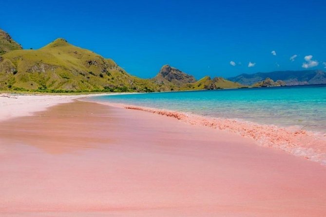 1 Day Komodo Trip by Private Fast Boat - Komodo Island is the reason many people book