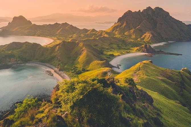 1 Day Komodo Trip By Share Fast Boat - Padar Island and the climb to the famous view
