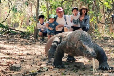 1 Day Komodo Trip By Share Fast Boat