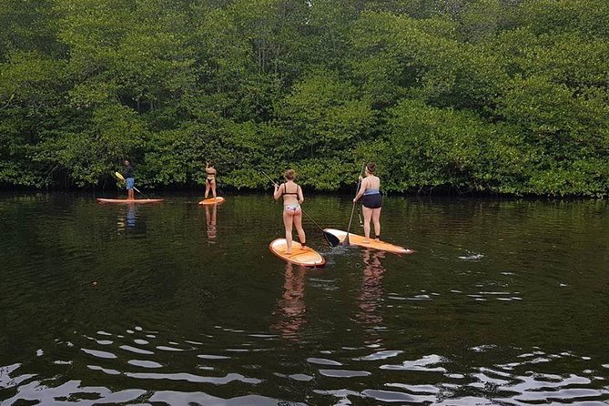 1 Hour Mangrove Tour From Lembongan with Kayak, Paddle, or Boat - What the one-hour route is actually like