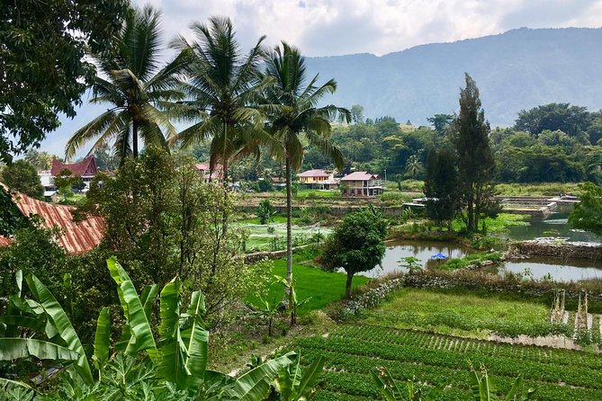 1 week private round trip North Sumatra - Day 1: Kuala Namu Airport to Bukit Lawang