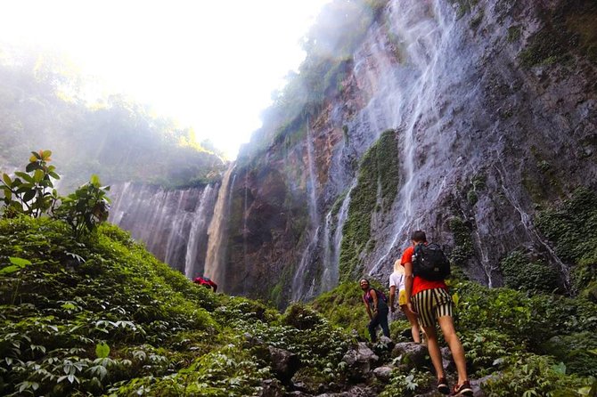 1Day - Tumpak Sewu Waterfall and Goa Tetes Cave Trekking - Key points to know before booking