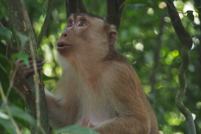 2-Day Jungle Trekking & Rafting in North Sumatra - What the $157.05 price covers