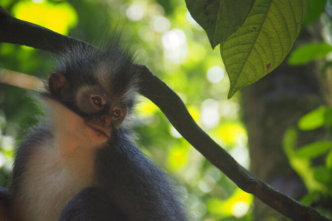 2-Day Jungle Trekking & Rafting in North Sumatra - What to pack and what to clarify