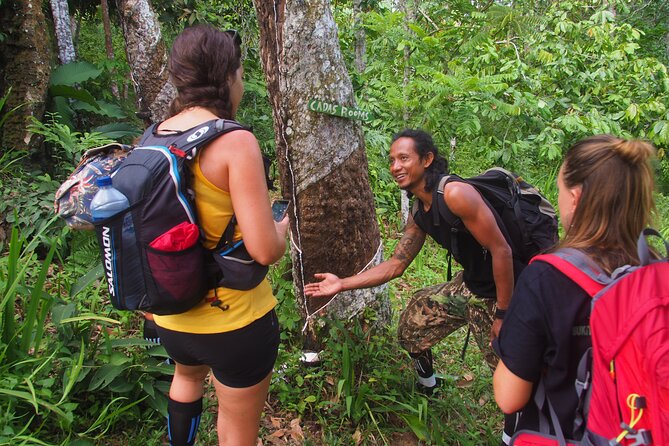 2-Day Jungle Trekking & Rafting in North Sumatra - Day one: from Bukit Lawang into Gunung Leuser