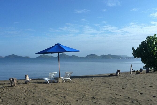2-Day Komodo National Park and Rinca Island Wildlife Adventure from Bali - Rinca Island and the afternoon dragon walk
