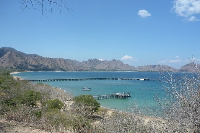 2-Day Komodo National Park and Rinca Island Wildlife Adventure from Bali - Pink Beach and two hours in the water