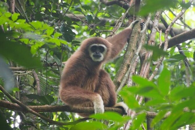 2 Days 1 Night Ethical Jungle Trekking - Day one: six to seven hours on forest trails
