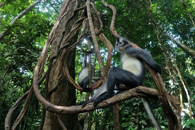 2 Days 1 Night in THE JUNGLE Mount Leuser ( See ORANGUTAN) - Day 1: From Bukit Lawang into Gunung Leuser National Park