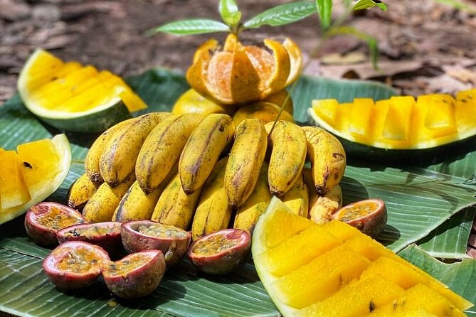 2 Days and 1 Night Ethical Jungle Trek - Why this trek feels different from a day walk
