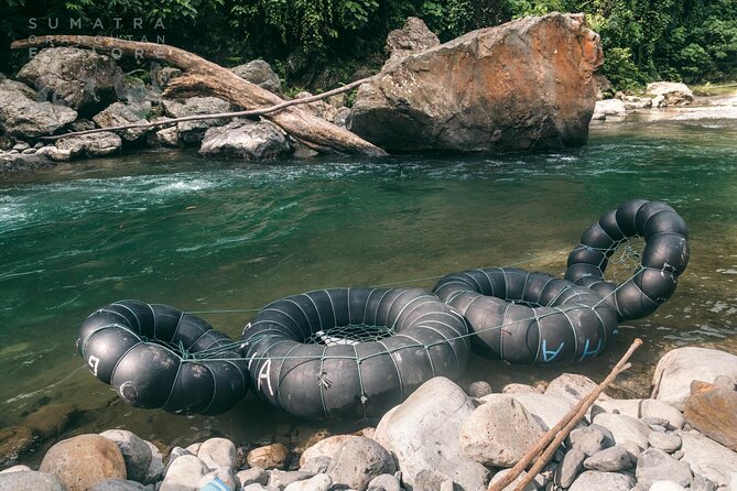 2 Days and 1 Night Ethical Jungle Trek - Wildlife is the reward, not a guarantee