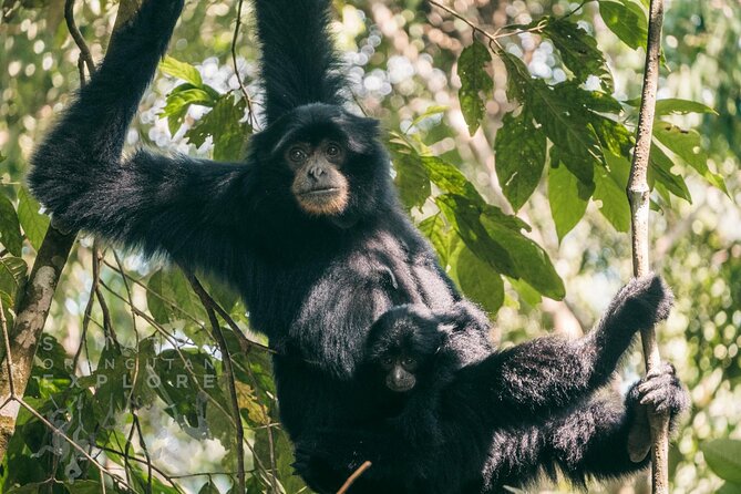 2 Days and 1 Night Ethical Jungle Trek - Practical details that matter