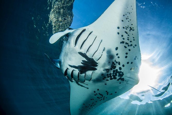 2 Days Discover Scuba Diving in Nusa Lembongan - Scuba Initiation - What the two-day format feels like