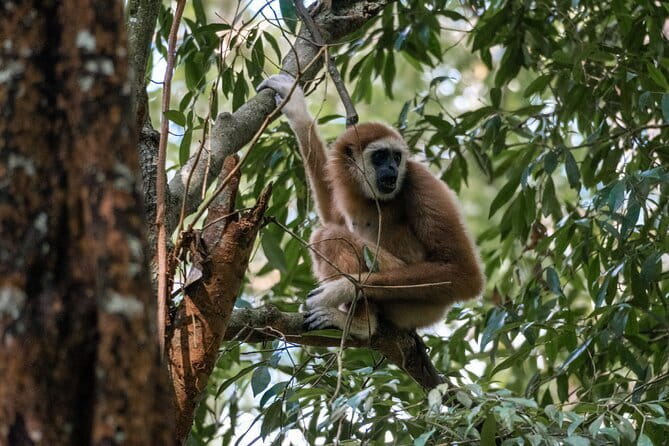 2 Days Ethical Jungle Trek in Sumatra - Why this Sumatra trek feels different from a standard day tour