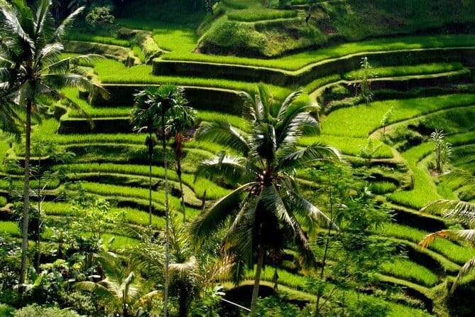 2 Days Mount Batur Sunrise Trekking With Private Ubud Day Tour - What $99 per person really covers