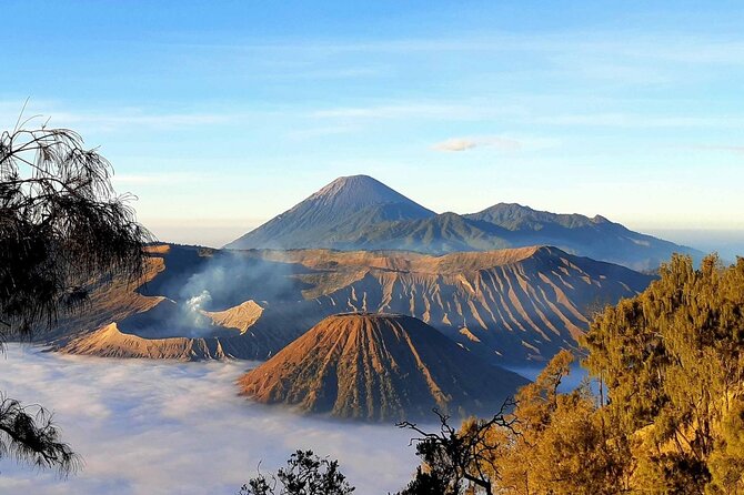 2 Days Private Tour Ijen and Bromo from Banyuwangi - Who should book this East Java tour