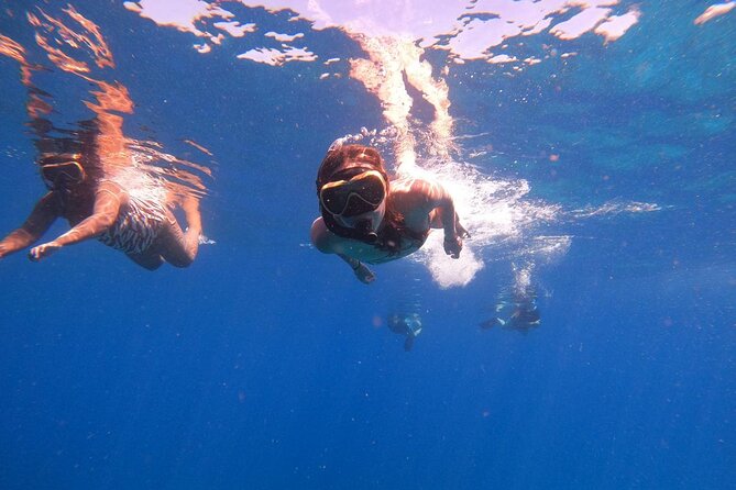 2 Days Tour to explore Labuan Bajo and Komodo Island - Quick points to know before booking