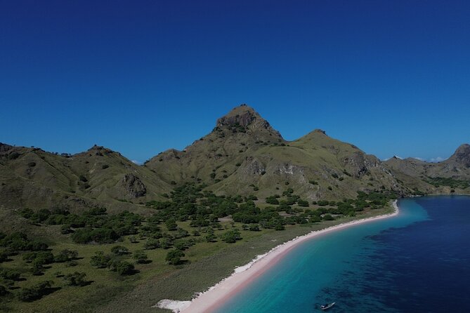 2 Days Tour to explore Labuan Bajo and Komodo Island - Meeting Komodo dragons on Komodo Island