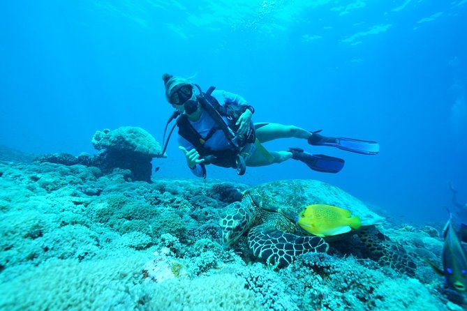 2 or 3 dives in Nusa Lembongan and Penida, for certified diver (in Lembongan) - Crystal Bay brings a seasonal bonus