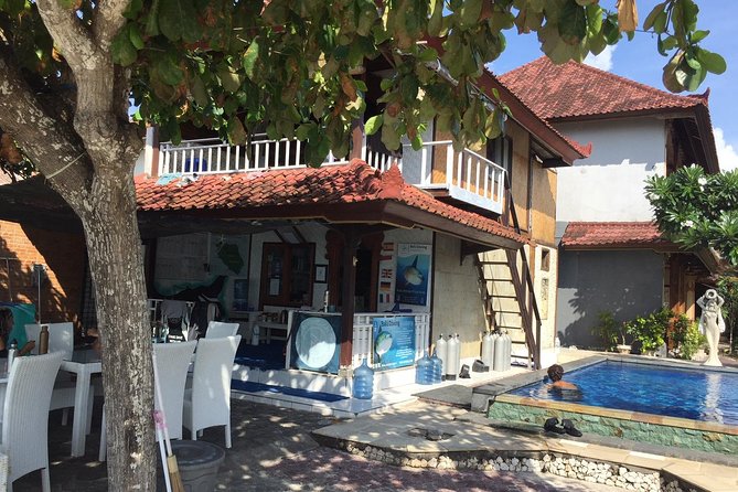 2 or 3 dives in Nusa Lembongan and Penida, for certified diver (in Lembongan) - Certified divers will get the most from it