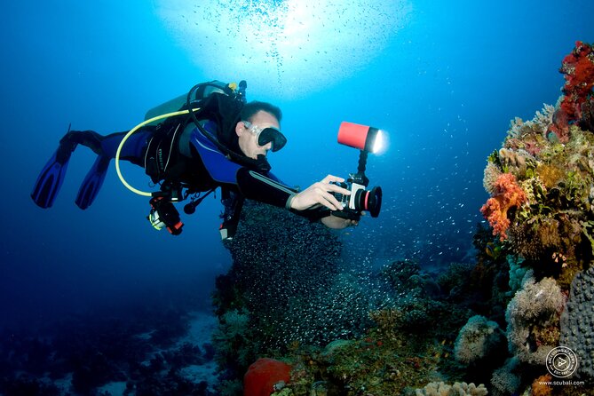 2 or 3 dives in Nusa Lembongan and Penida, for certified diver (in Lembongan) - The staff is a major part of the experience