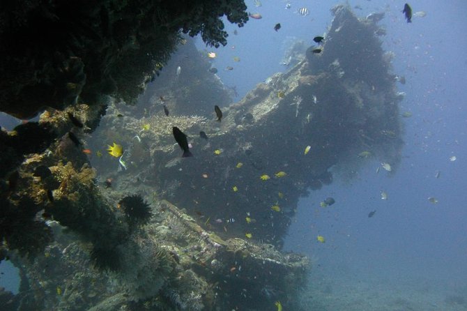 2 PADI Certified Dives at Tulamben from Bali - The 7 a.m. start and the trip from Bali