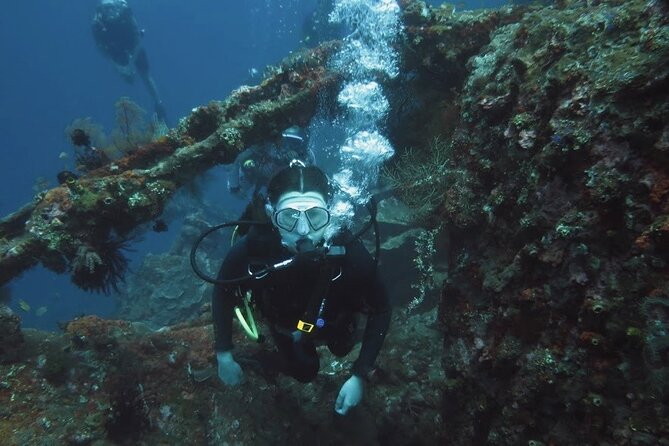 2 PADI Certified Dives at Tulamben from Bali - Who should book this Tulamben outing