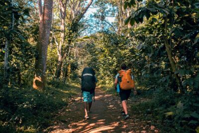 2D1N Senaru Crater Rim Trekking