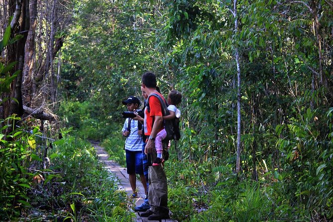 2Ns Orangutan Kelotok Tour in Tanjung Puting Kalimantan - Borneo - Why a kelotok is the right way to see Tanjung Puting