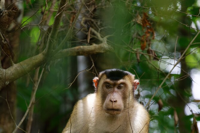 3-Day Bukit Lawang Tour Including 1-Day Ethical Jungle Trekking - Tube rafting adds a proper finish