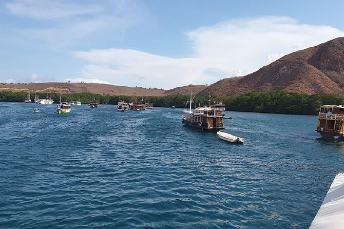 3-Day Komodo island Tour with or without Roundtrip Flight From Bali - Who will get the most from this tour