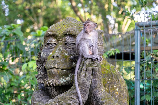 3 Days for the best of Ubud Private Tour - Day one: monkeys, markets, terraces, and Mount Batur