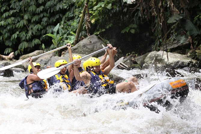 3 Days for the best of Ubud Private Tour - Day three: quad biking through Ubud’s jungle
