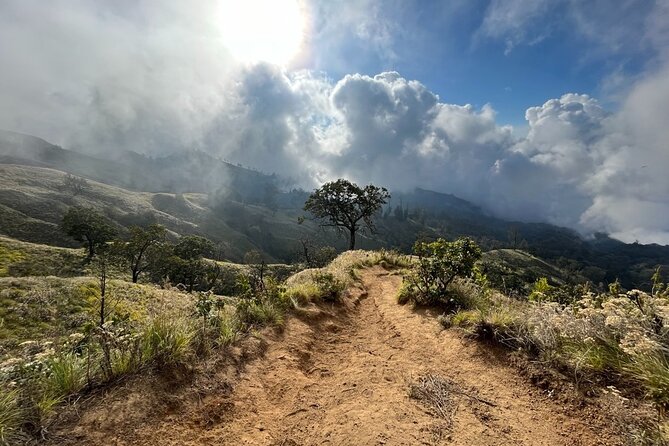 3 Days Mount Rinjani Complete Tour @All In One Price - The five-hour descent to Senaru Village