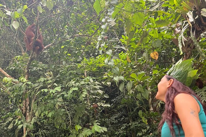3 Days Orangutan Sumatra Jungle Trekking with Rafting - Two jungle camps beside water