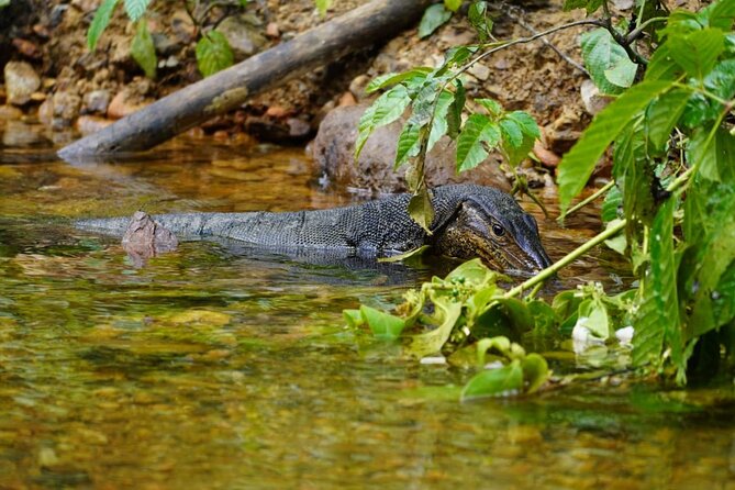 3 Days Orangutan Sumatra Jungle Trekking with Rafting - The river finish on the Bohorok