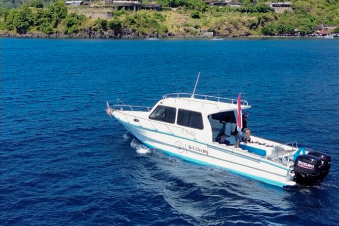 3 Epic Dives in Nusa Penida - Certified Divers' Day Trip - Why Nusa Penida makes this a special scuba day