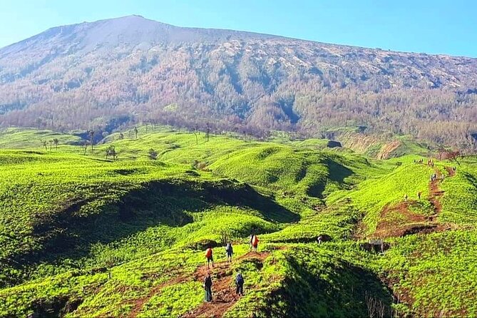 3D 2N Mount Rinjani Trekking Tour To Summit And Lake - What the $235 price really covers