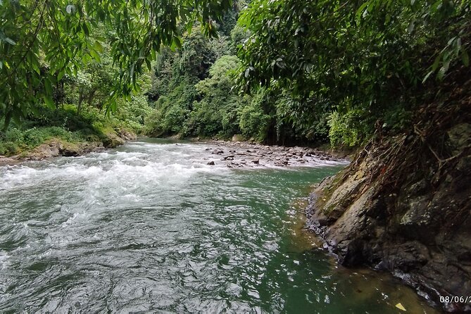3D2N Jungle Trek | 2 Night accommodation | Pick up and drop off - Day 3: Farther Into the Forest