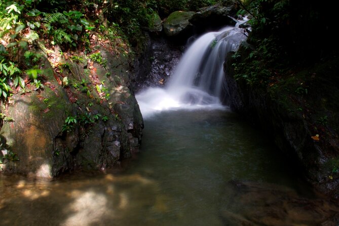 3D2N Jungle Trek | 2 Night accommodation | Pick up and drop off - What Wildlife Viewing Is Really Like