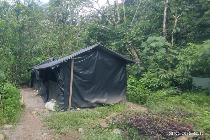 3D2N Jungle Trek | 2 Night accommodation | Pick up and drop off - Food, Camping, and What Is Included