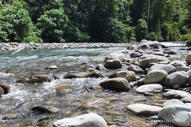 3D2N Jungle Trek | 2 Night accommodation | Pick up and drop off - The Physical Challenge: Heat, Rain, and Mud