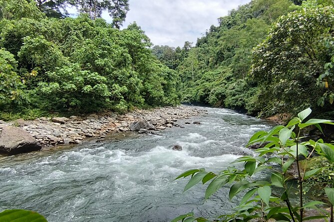 3D2N Jungle Trek | 2 Night accommodation | Pick up and drop off - Private Group Benefits and Transport Details