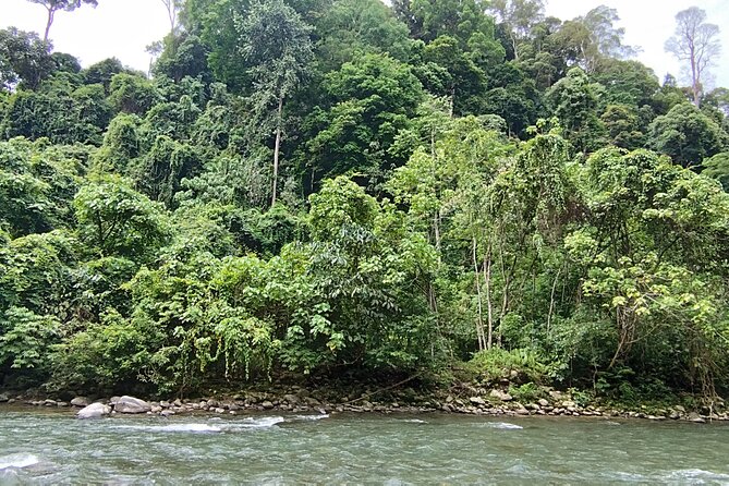 3D2N Jungle Trek | 2 Night accommodation | Pick up and drop off - Who Will Get the Most From This Trip